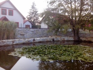 Rodinný dům Suchdol nad Lužnicí – kamenná hráz rybníčka